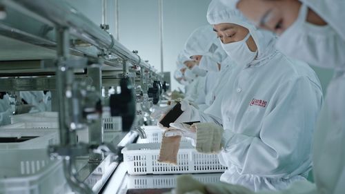玫好綻放，膠融向新 2026年平陰縣特色產業新聞發布會側記